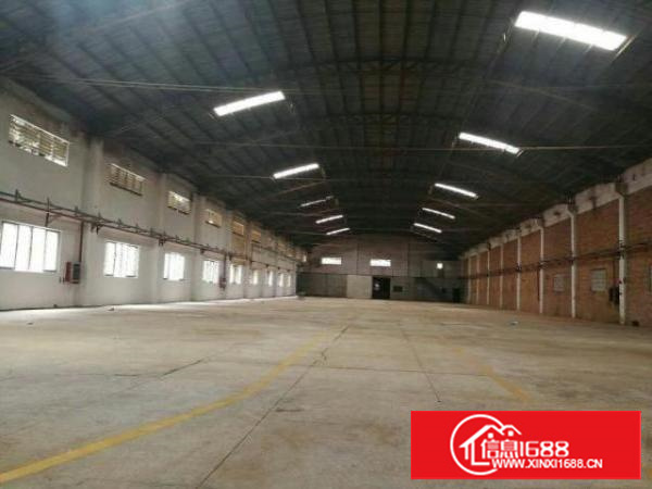 独门独院单一层钢结构滴水8米5000平方厂房出租