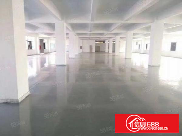 沙井大王山西环路边独院二楼一整层2400平23块