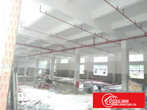 惠阳秋长独院标准厂房4500平米带消防喷淋出租