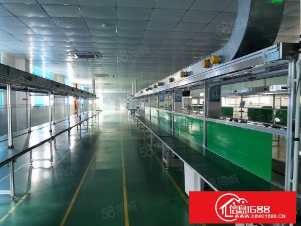 出租长安镇沙头带装修2000平厂房，可分租