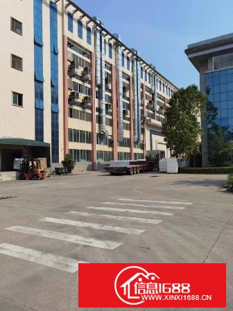 上沙新出一楼2180平方，高端红本厂房出租