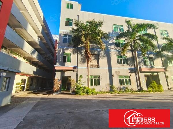 大岭山杨屋独院标准厂房1-3层，5880平，超大空地，整租16元。