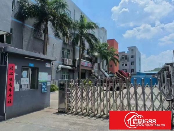 大岭山杨屋独院标准厂房1-3层，5880平，超大空地，整租16元。