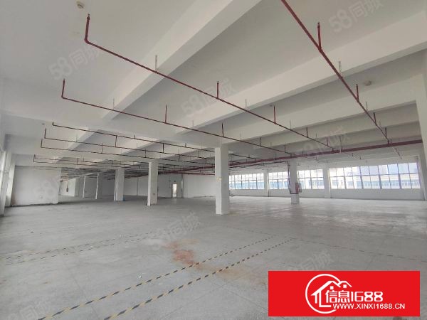 大岭山鸡翅岭村莞佛高速出口M2用地厂房楼上2580平米