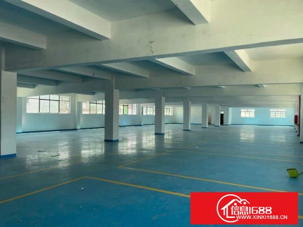 横岗荷坳新出独院两层3300平方，配套有电梯