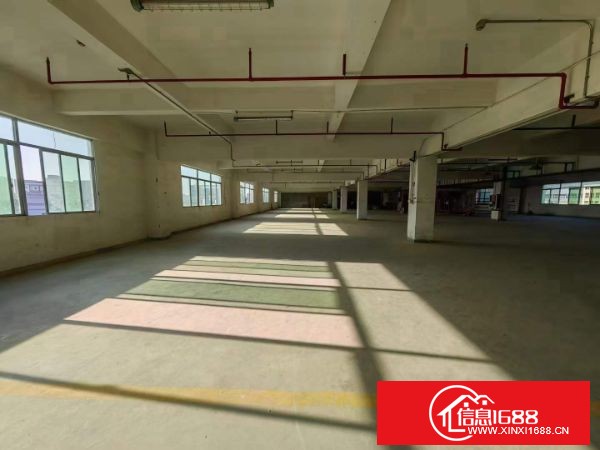 龙岗同乐业主厂房低价至15元每平方，出租面积1300,2000,4000平方