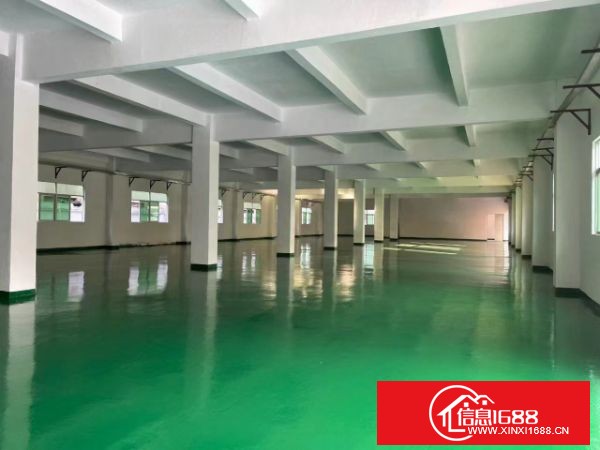 东莞长安上沙新出原业主独院厂房13000平方