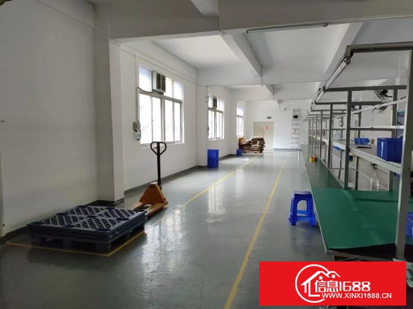 东莞长安上沙新出原业主独院厂房13000平方