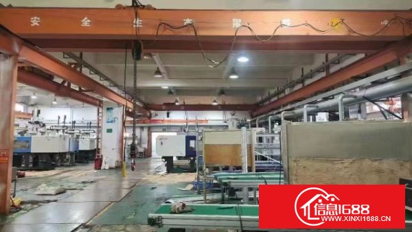 东莞长安沙头原房东独院 实际面积约13900平，可分租