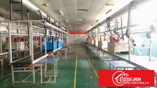 东莞长安沙头原房东独院 实际面积约13900平，可分租