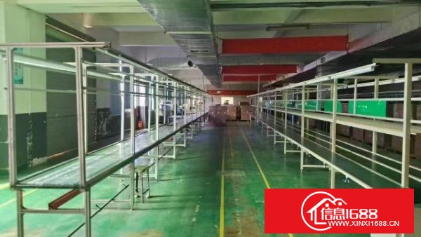 东莞长安沙头原房东独院 实际面积约13900平，可分租