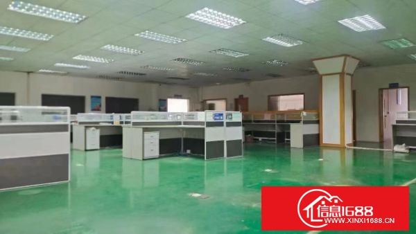 东莞长安沙头原房东独院 实际面积约13900平，可分租