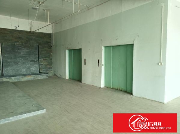 坪地盐龙大道边上工业园新出楼上2-5层每层2000平方，可分租