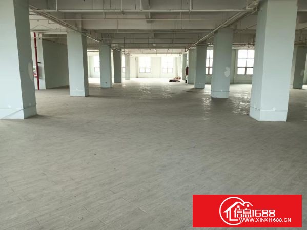 坪地盐龙大道边上工业园新出楼上2-5层每层2000平方，可分租