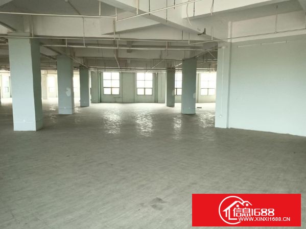 坪地盐龙大道边上工业园新出楼上2-5层每层2000平方，可分租