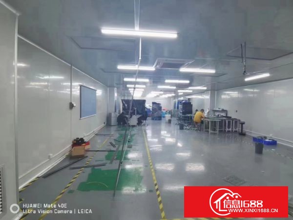 龙华大浪成熟工业区出租独栋两层1300平方带精装修