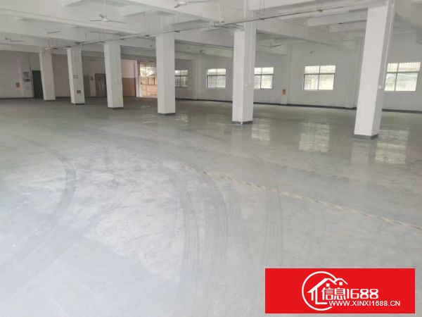 坂田新出大型园区新出独栋厂房4000平方,带装修可分租