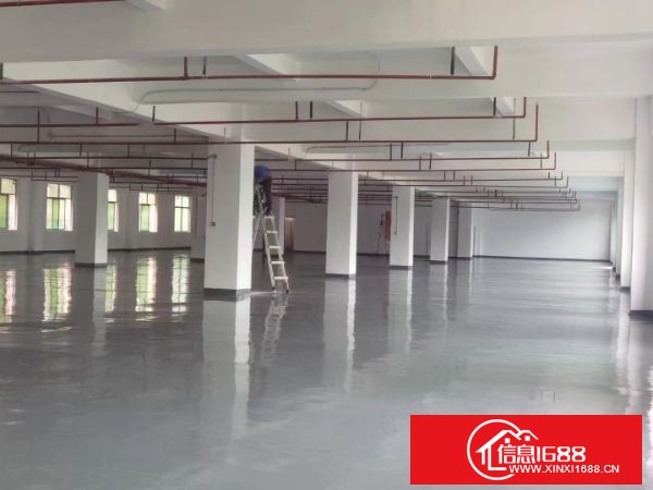 坂田新出一楼3000二楼5000平厂房出租合同5年。