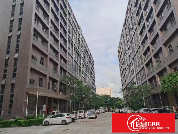 坂田龙壁带装修200.300.500平大小可以分