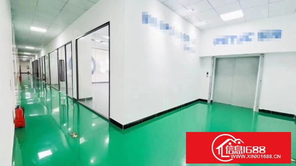 坂田龙壁带装修200.300.500平大小可以分