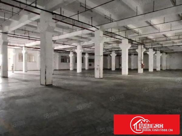 龙岗宝龙原房东14万平大型工业园厂房仓库出租精装修200起租