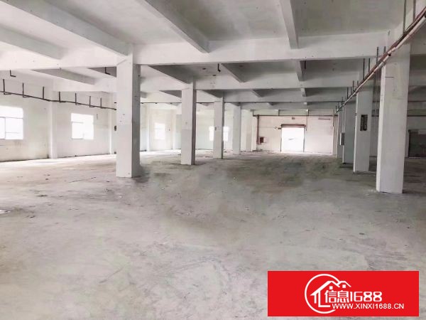 东莞塘厦龙背岭原房东厂房一楼1680平方，租金超优惠，合同3年一签