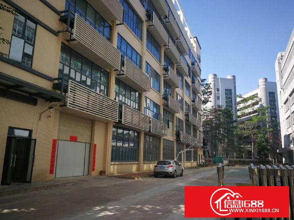 坪地高高新科技园区出租独院厂房5栋厂房共40000平方