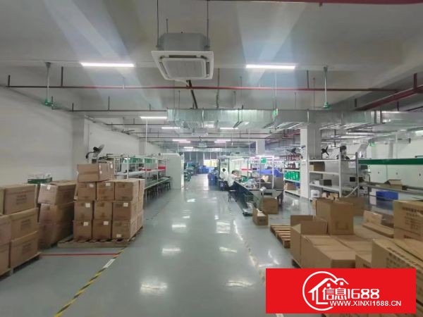 横岗西坑独院厂房出租面积8600平方可分租