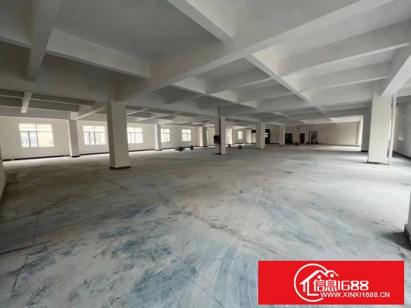 长安上沙振安路边原房东经典独门独院8000方实际面积出租！