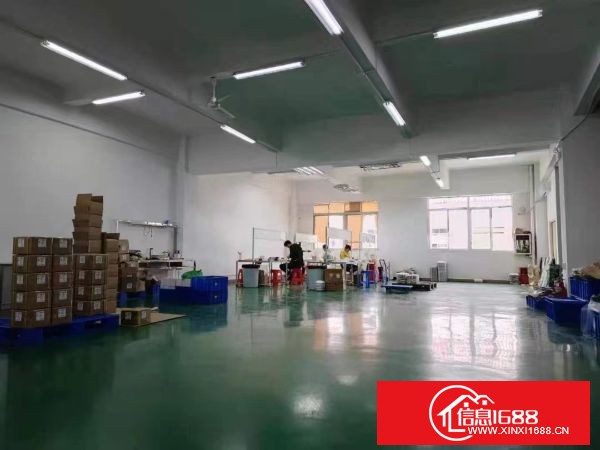 塘厦科苑城新出原业主厂房8300平方，可分租