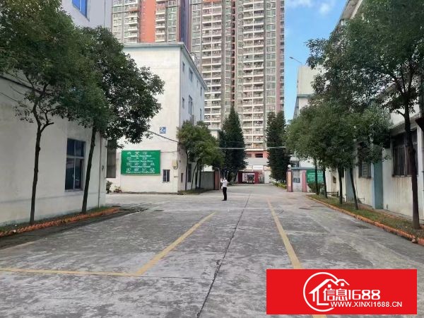 松岗107国道附近工业园新出一楼1000平方按实际面积出租