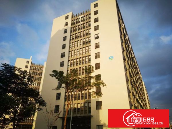 坪地高桥高新产业园出租5楼1360平方带无尘车间不分租