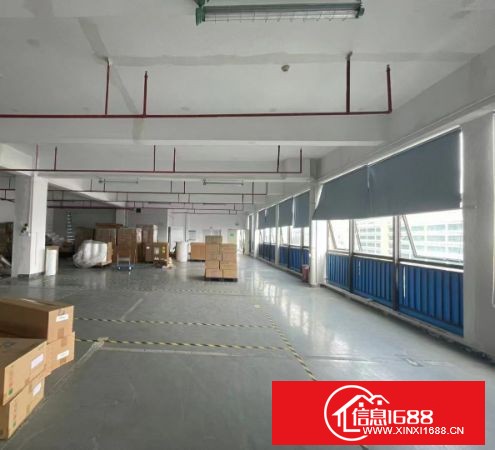 坪地高桥高新产业园出租5楼1360平方带无尘车间不分租