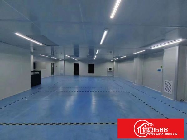 龙岗宝龙原业主园区出租3楼2500平方带精装修