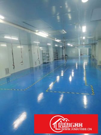 长安沙头角花园式园区分租楼上800平方带无尘车间