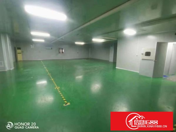 大岭山杨屋园区分租楼上900平方带无尘车间