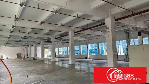 凤岗五连靠平湖新出原业主独栋厂房四层5600平方