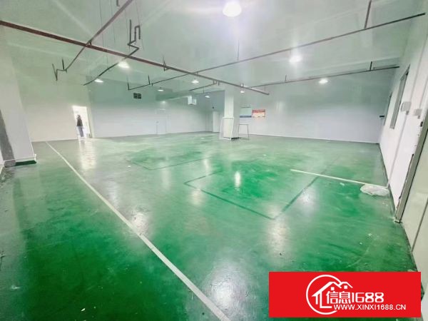 东莞长安沙头社区工业园分租楼上620平方带精装修