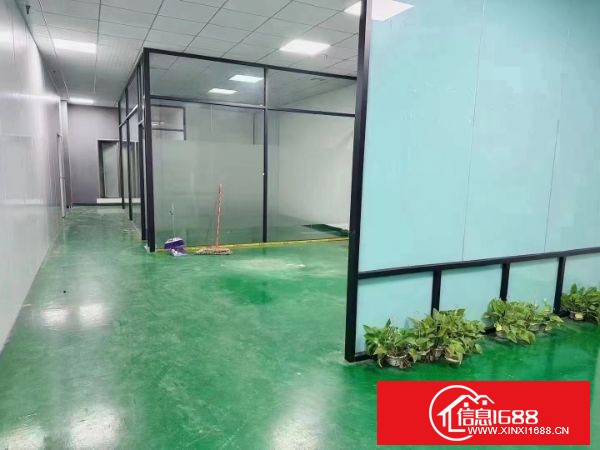 东莞长安沙头社区工业园分租楼上620平方带精装修