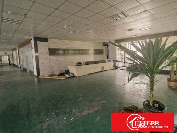 观澜梅观高速出口原业主自建红本厂房9900平方