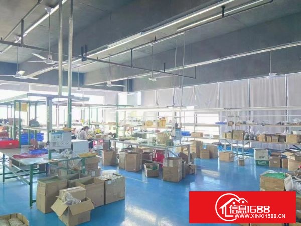 凤岗雁田新出楼上560平方，带精装修办公室