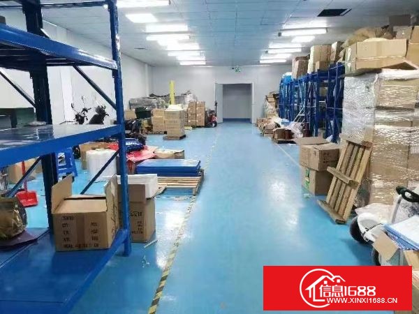 东莞长安乌沙新出楼上1600平方带精装修出租