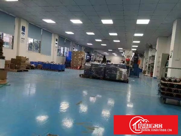 东莞长安乌沙新出楼上1600平方带精装修出租