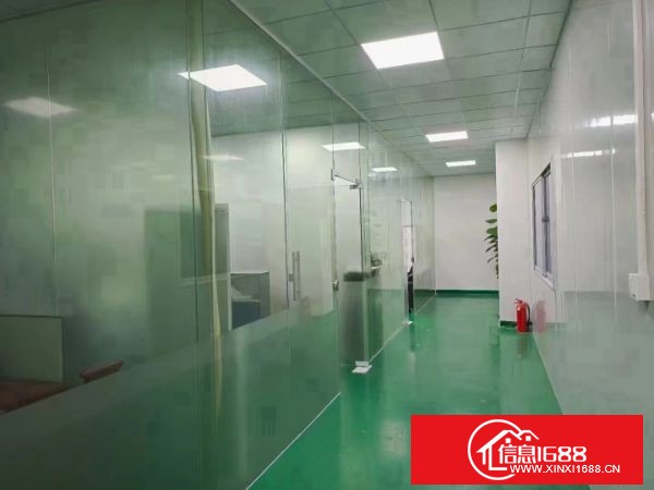 东莞长安沙头社区工业园分租楼上1800平方带装修