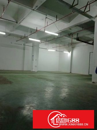 布吉上李朗工业区B栋出租楼上1200平方可以分租