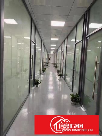 东莞长安新桥靠深圳工业园分租4-5楼每层1980平方，可分租