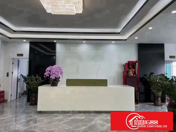 东莞长安新桥靠深圳工业园分租4-5楼每层1980平方，可分租