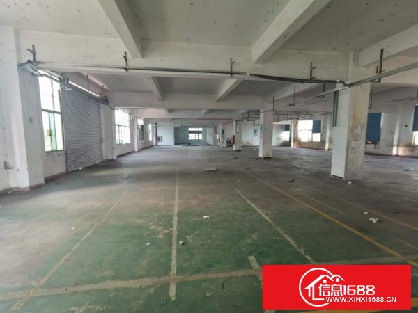 龙岗宝龙街道同乐社区新出原业主独院厂房四层4800平方