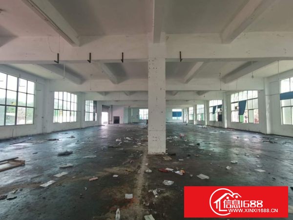 龙岗宝龙街道同乐社区新出原业主独院厂房四层4800平方