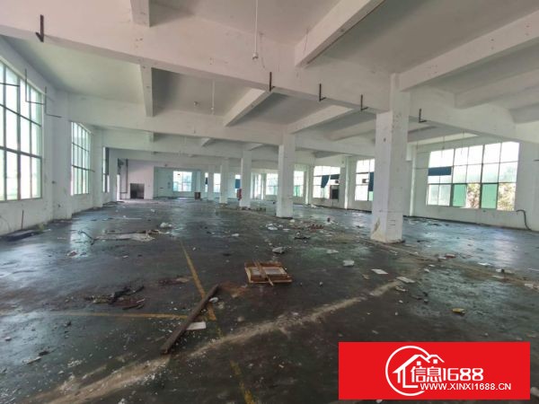 龙岗宝龙街道同乐社区新出原业主独院厂房四层4800平方